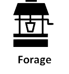 FORAGE-removebg-preview